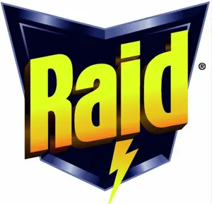 Raid