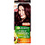 Garnier стойкая питательная крем краска для волос color naturals оттенок 3.61 сочная ежевика