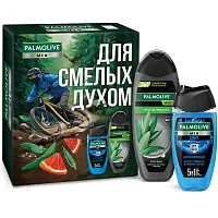Palmolive подарочный набор мужской защита и восстановление гель для душа 250 мл + шампунь кондиционер 2 в 1 450 мл)