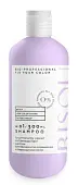 Bisou шампунь Your Color для окрашенных волос 300мл