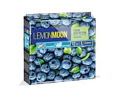 Lemon Moon черника губки для посуды крупнопористые 96 х 64 х 33 12 шт