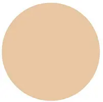 Компактная пудра LOREAL АЛЬЯНС ПЕРФЕКТ