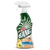 Cillit Bang чистящее ср во для ванной природная сила с лимонной кислотой с курком 450 мл
