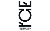ICE Professional