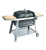 FORESTER Скворчер NEW GENERATION (1)