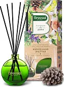 Breesal декоративный ароматизатор arome sticks волшебство природы жизненная энергия