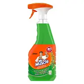 Mr Muscle чистящее средство для стёкол с нашатырным спиртом 500 мл