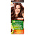 Garnier стойкая питательная крем краска для волос color naturals оттенок 5.23 пряный каштан