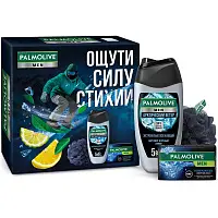 Palmolive подарочный набор мужской арктический океан гель для душа 250 мл + туалетное мыло 90 г и мочалка