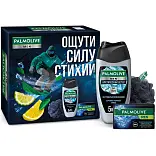 Palmolive подарочный набор мужской арктический океан гель для душа 250 мл + туалетное мыло 90 г и мочалка