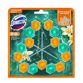 Доместос блок для очищения унитаза кристаллы чистоты цитрусовый блеск трио 3*50 гр