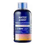 Waterdent жидкость для ирригатора утренний детокс 500мл