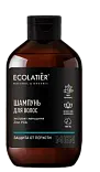 Ecolatier Мужской шампунь Защита от перхоти, 400 мл
