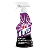 Cillit Bang универсальное средство против чёрной плесени 750 мл