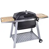 Forester скворчер prof new generation