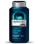 Stylist Pro Men шампунь для волос гель для душа освежающий 2 в1 400 мл